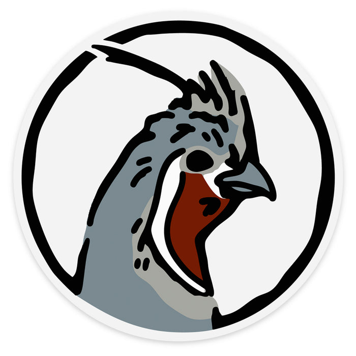 Mountain Quail