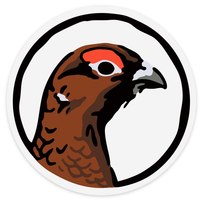 Willow Ptarmigan