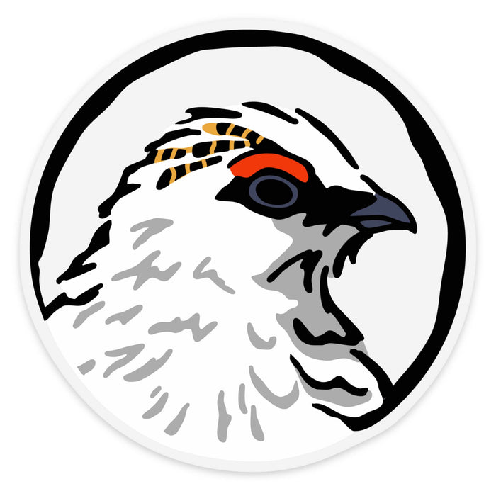 Rock Ptarmigan