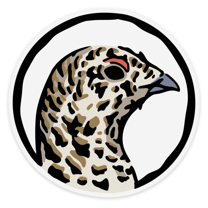 White-Tailed Ptarmigan