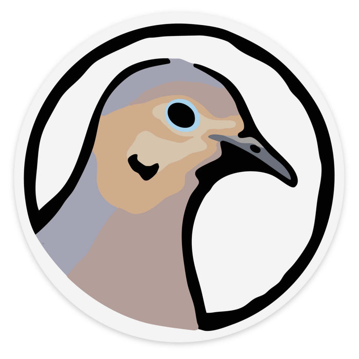 Mourning Dove