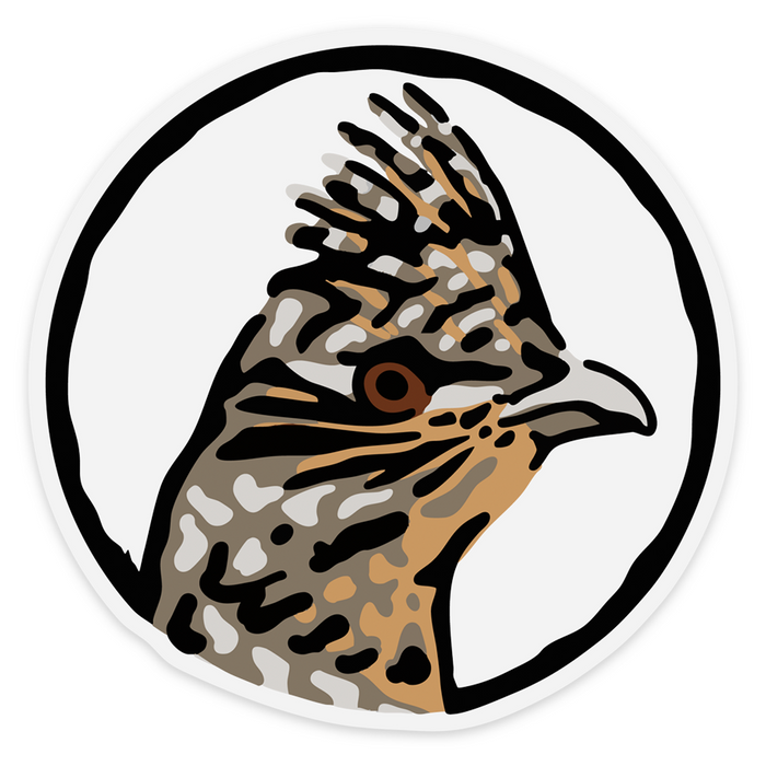 |Ruffed Grouse