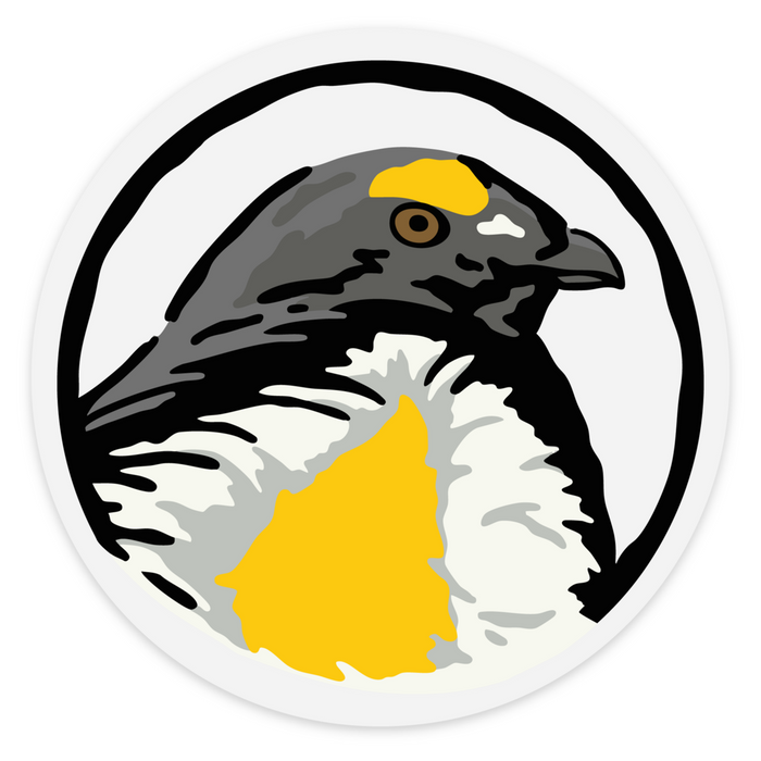 |Sooty Grouse