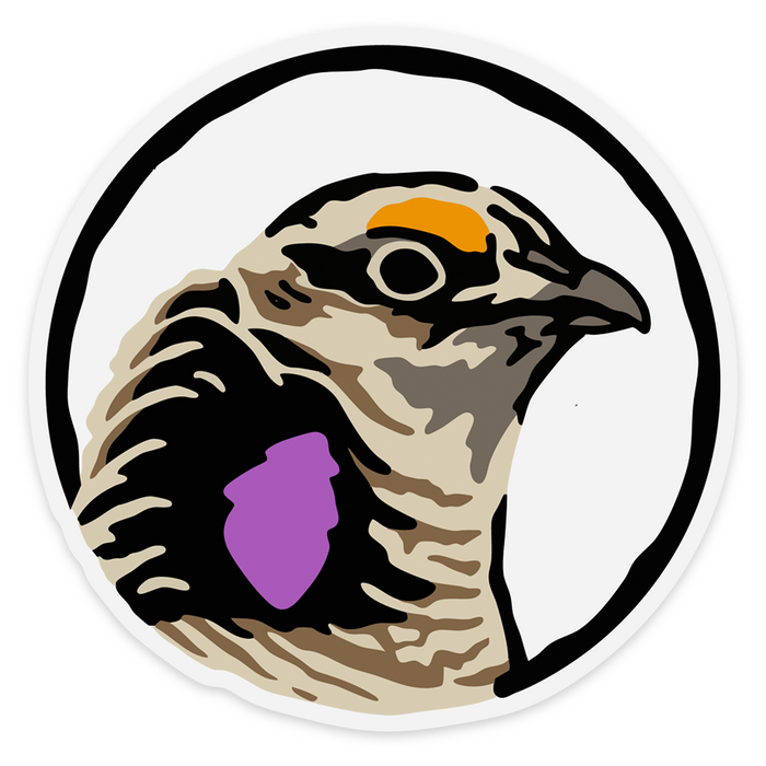 |Sharp-Tailed Grouse