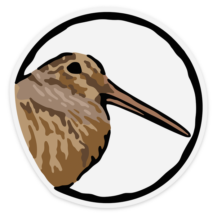 Woodcock