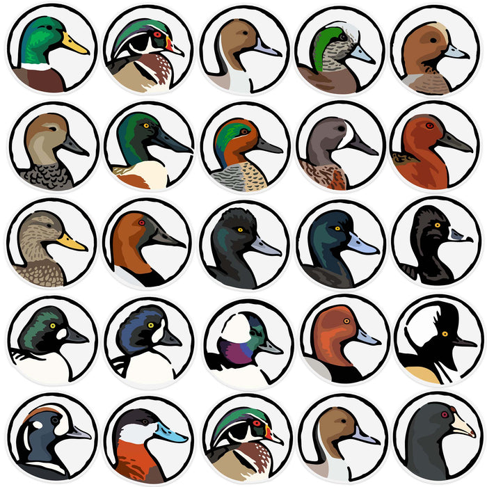 Every Waterfowl Species Decal Sticker