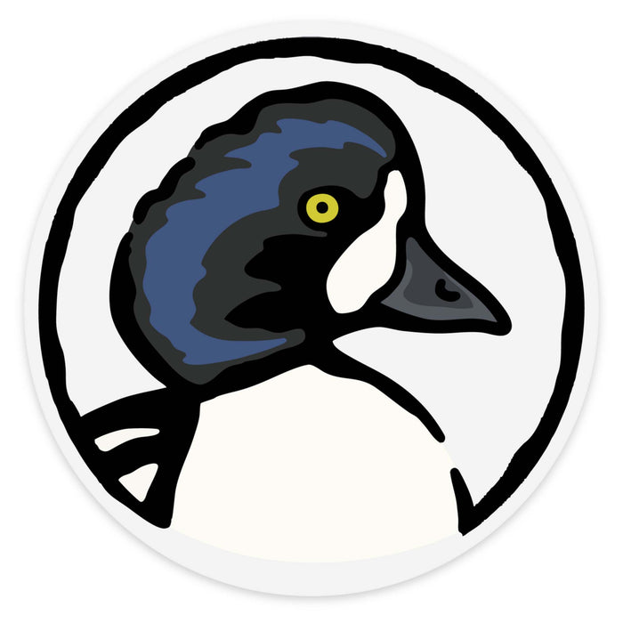 Barrows Goldeneye