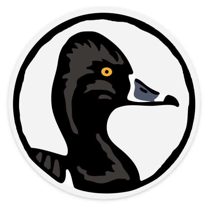 Ring-necked Duck