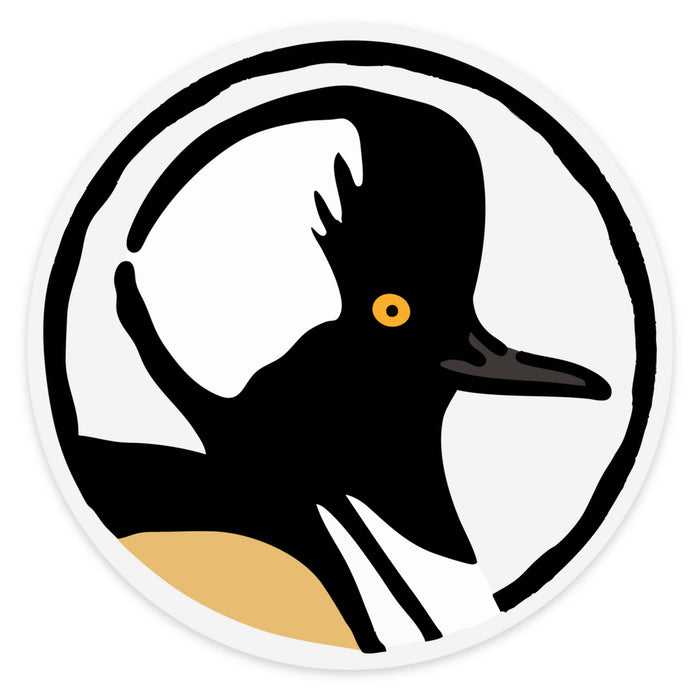 Hooded Merganser