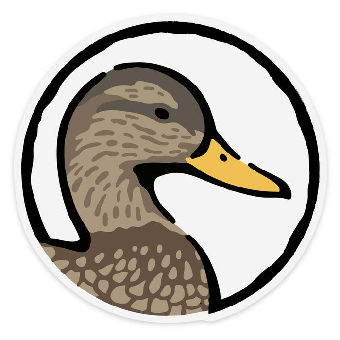 Black Duck