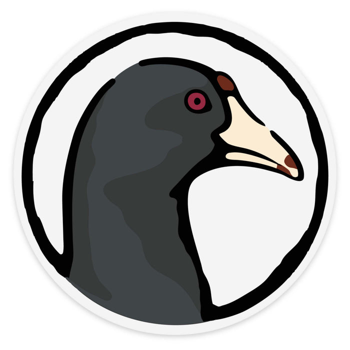 Coot