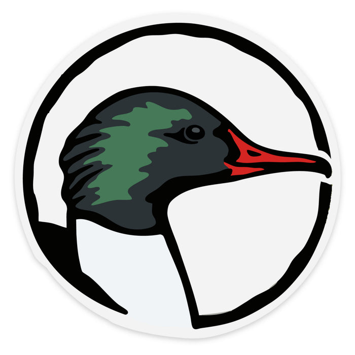 Common Merganser