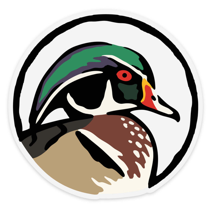 |Wood Duck