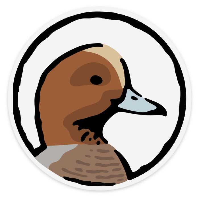 |Eurasian Wigeon