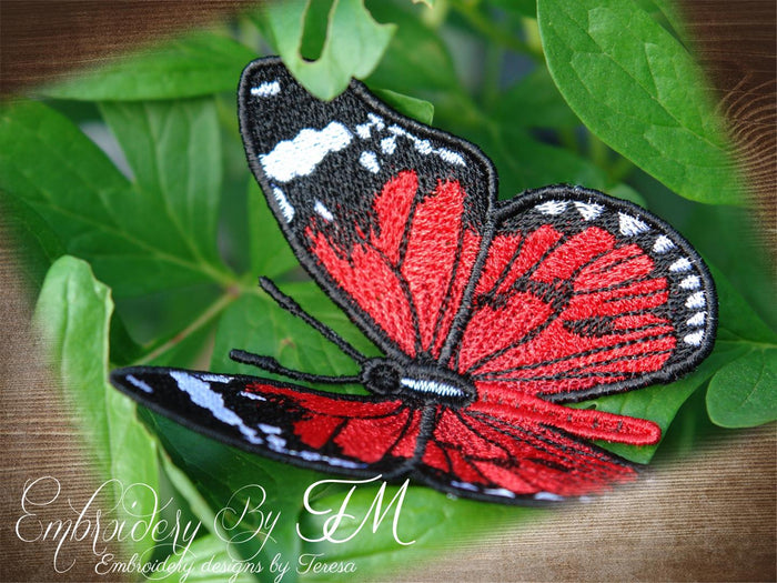 FSL Butterfly No. 10 / 4x4 hoop