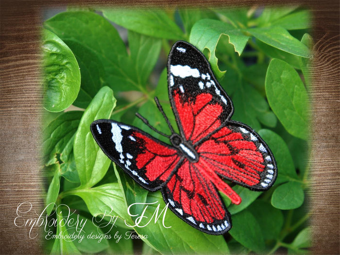 FSL Butterfly No. 10 / 4x4 hoop