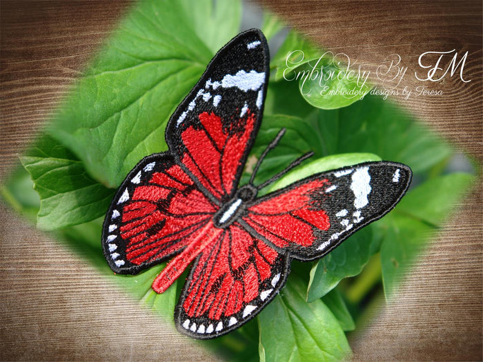 FSL Butterfly No. 10 / 4x4 hoop