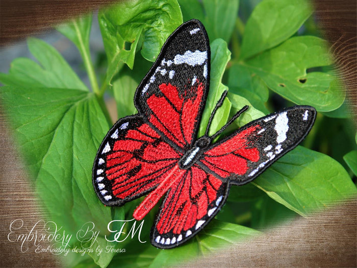 FSL Butterfly No. 10 / 4x4 hoop