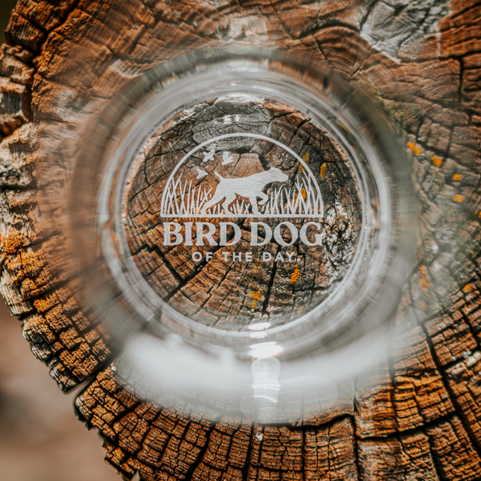 Gordon Setter Whiskey Glass
