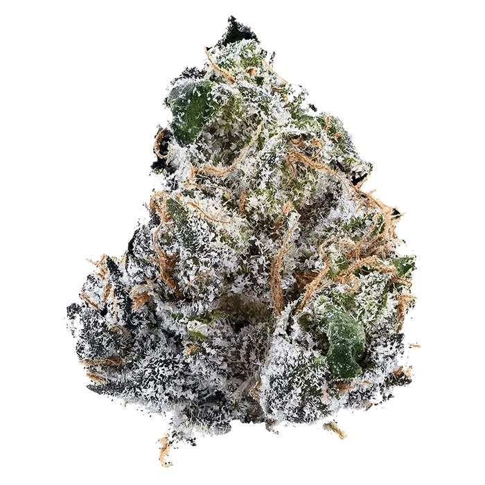 Close-up of the Guava Jam bud, showcasing its dense, textured surface and vibrant green hue.