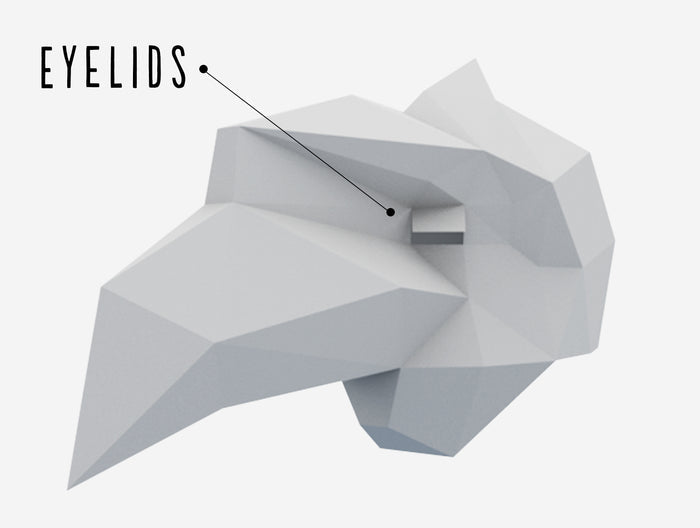 Hornbill Bird Mask <br> DIY Paper Mask Template