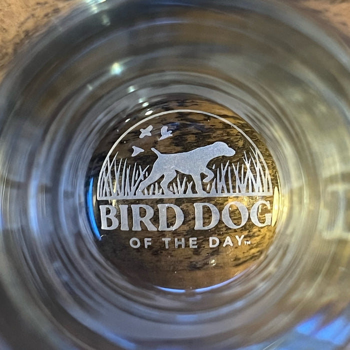 Irish Setter Pilsner Glass