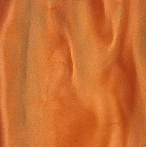 P1330 Coral / 12 OZ