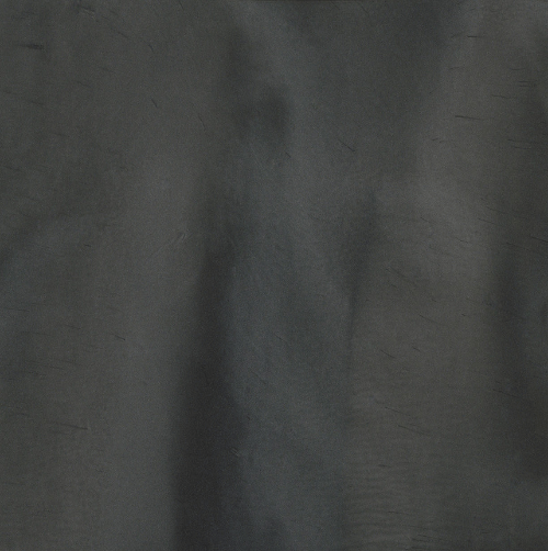 P1040 Whale / 16 OZ