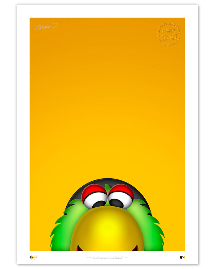 Minimalist Pirate Parrot