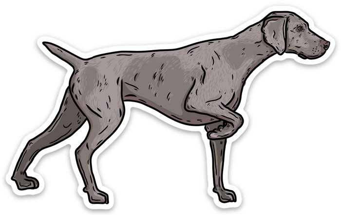 My First Weimaraner Decal Sticker