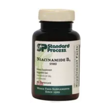 Niacinamide B6 (90 capsules) by Standard Process