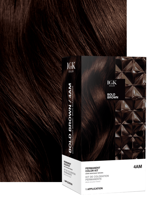 4AM BOLD BROWN