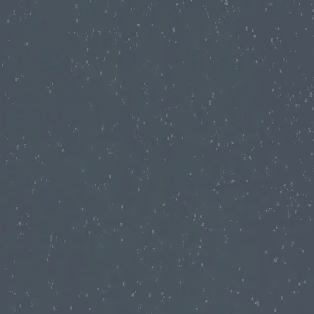 PP_50