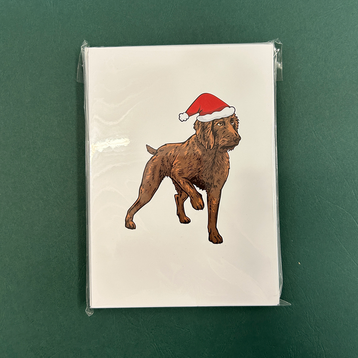 Pudelpointer Christmas Cards - Set of 12