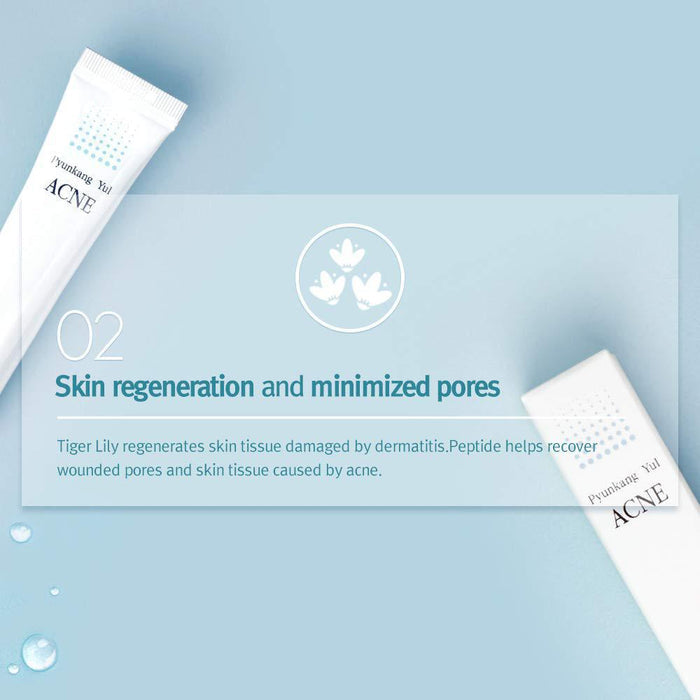 Pyunkang Yul Acne Spot Cream 15 mL