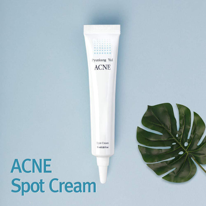 Pyunkang Yul Acne Spot Cream 15 mL