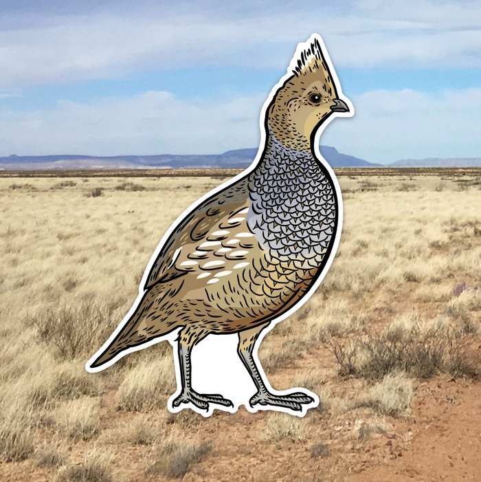 Quail Grand Slam Sticker 6-Pack