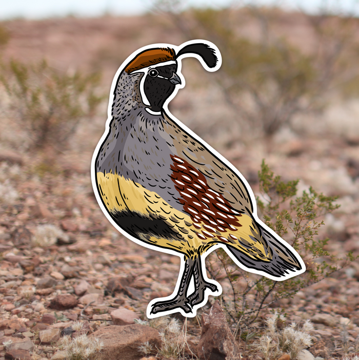 Quail Grand Slam Sticker 6-Pack