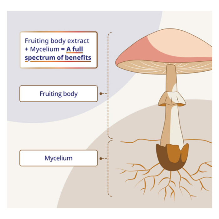CanPrev Mushrooms Parts