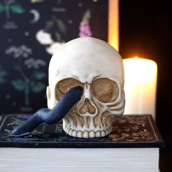 Skull Ornament with Snake 🇬🇧