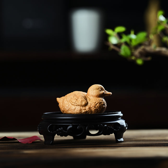 Medium Duck