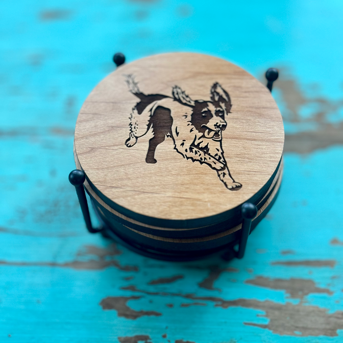 Springer Spaniel Coaster Set