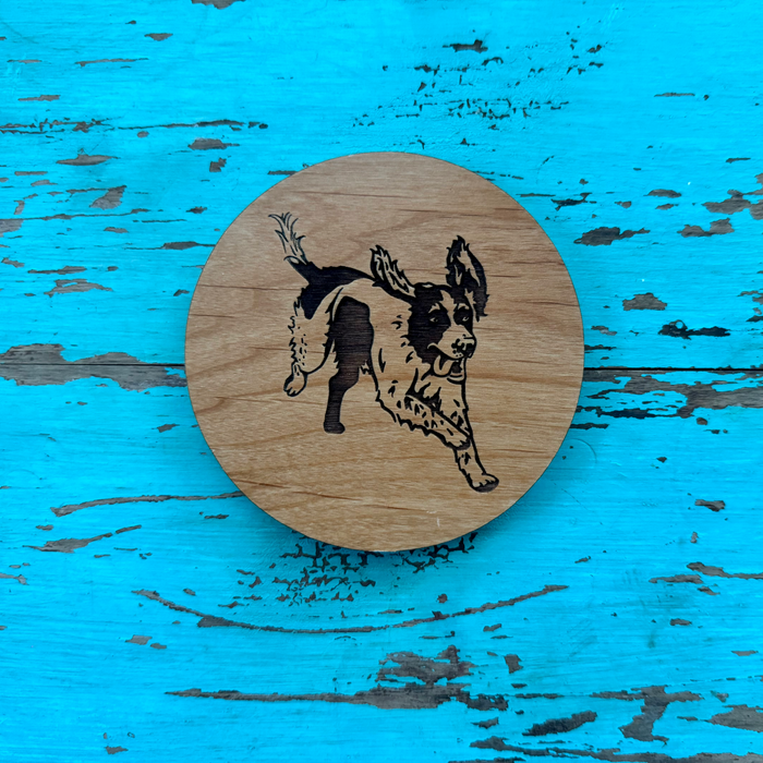 Springer Spaniel Coaster Set