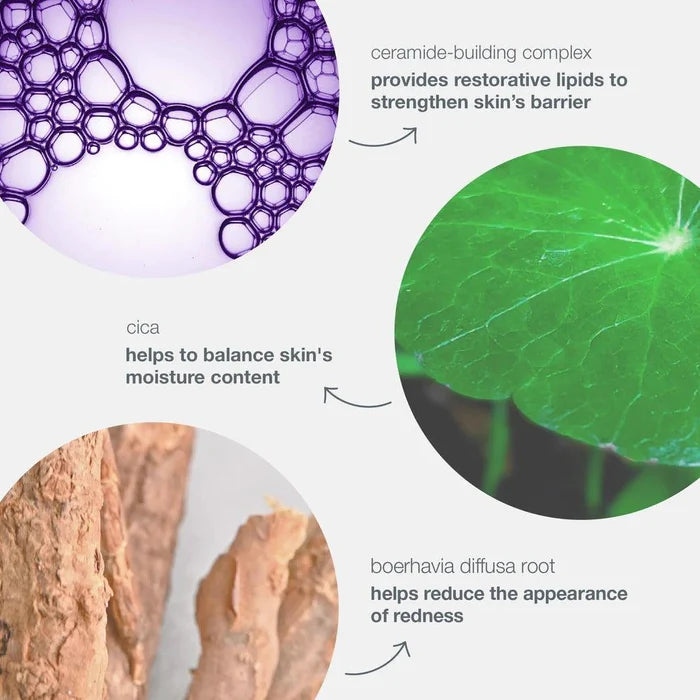 stabilizing repair cream - Dermalogica Singapore