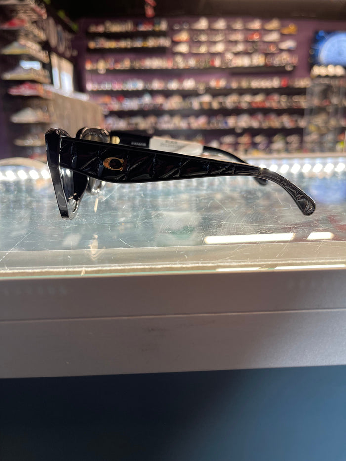 Coach Sunglasses Black (W)