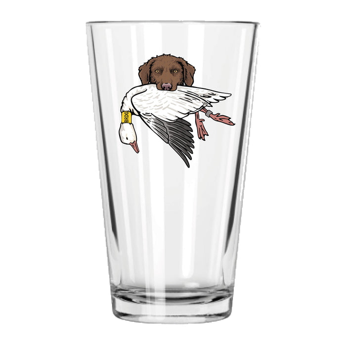 |Brown Chessie with a Snow Goose