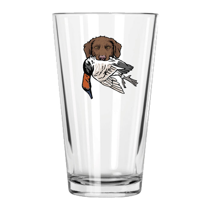 |Brown Chessie with a Canvasback