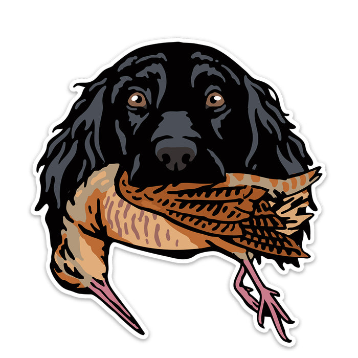 |Cocker Spaniel with a Woodcock