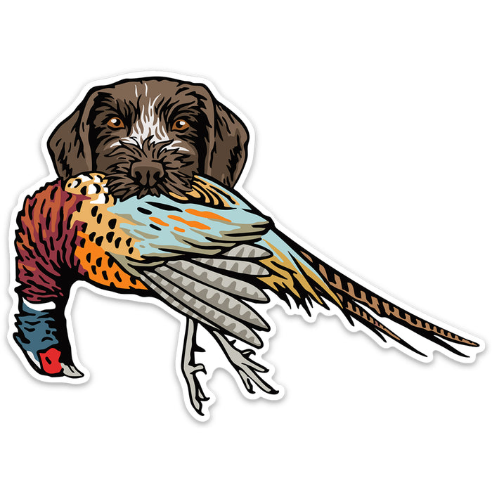 |GWP with a Pheasant