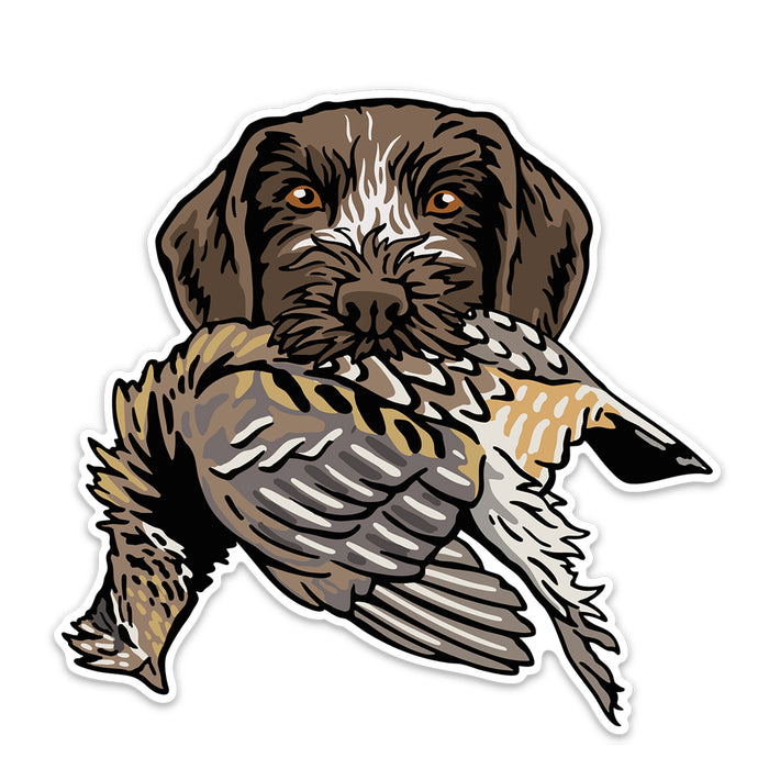 |GWP with a Ruffed Grouse